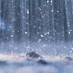 Meet your Posher, Parker